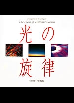 光の旋律