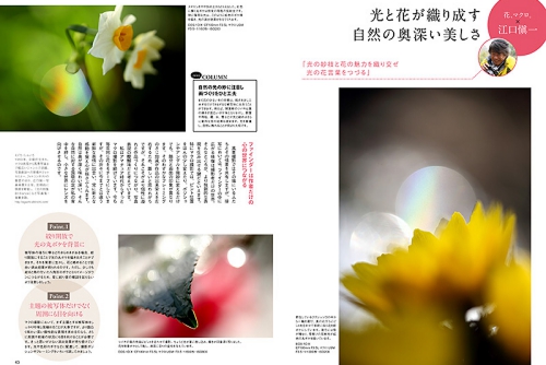 キヤノンフォトサークル2月号_花マクロ特集_1221__-2.jpg