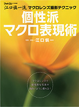 個性派マクロ表現術