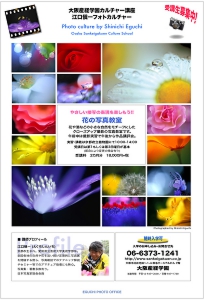 案内リーフレット