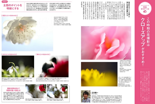 キヤノンフォトサークル 2月号