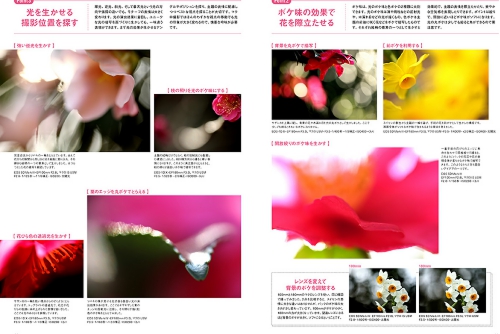 キヤノンフォトサークル 2月号