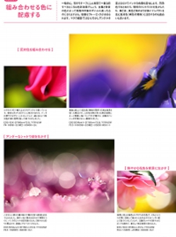 キヤノンフォトサークル 2月号