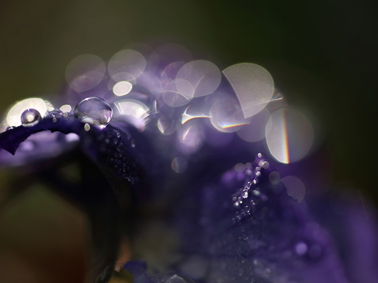 江口愼一 オフィシャルサイト