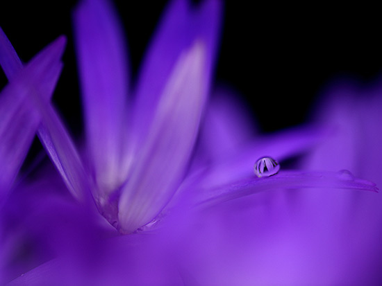 江口愼一 オフィシャルサイト