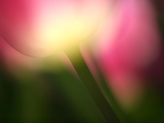 江口愼一 オフィシャルサイト