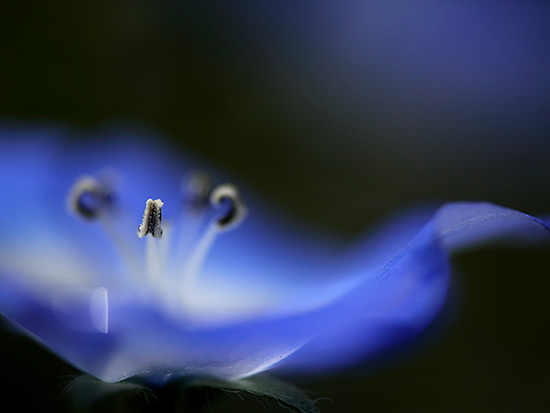 江口愼一 オフィシャルサイト