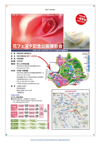 花フェスタ記念公園