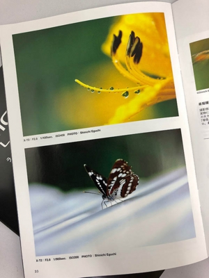 ファイル 2017-12-27 19 01 34.jpeg