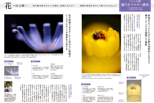 キヤノンフォトサークル 5月号