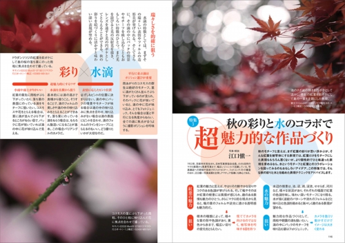 11月号P116-121_特集3-1.jpg