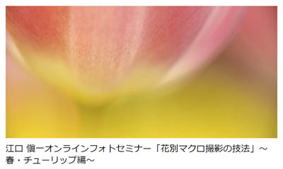 ナニワセミナー